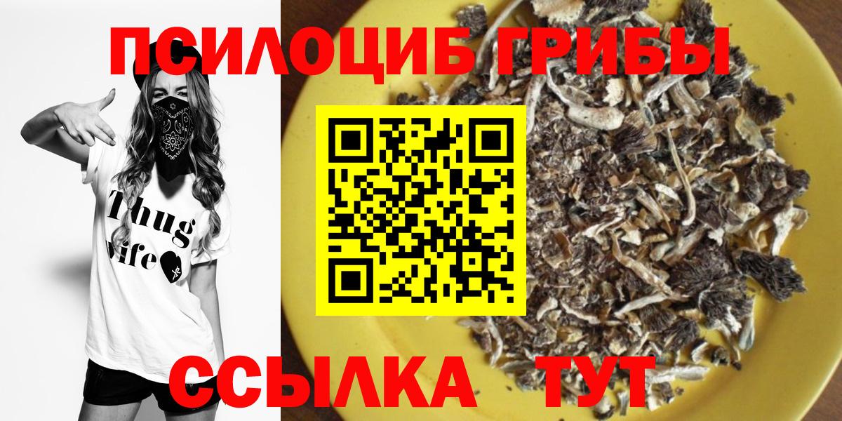 Галлюциногенные грибы Magic Shrooms  Вход с VPN  Стрежевой  Псилоцибиновые грибы Cubensis 