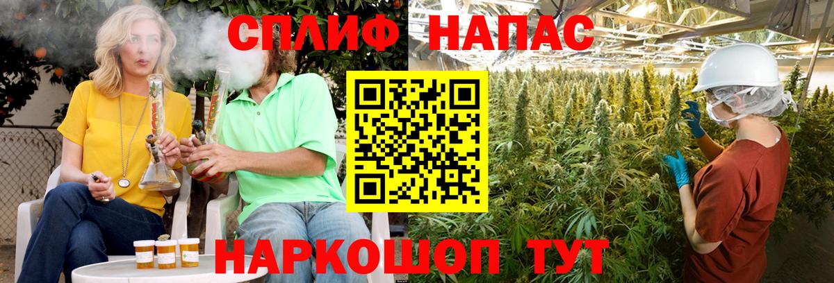 Стрежевой  Каннабис сатива  Вход с VPN  Бошки Шишки план  Конопля Amnesia  Марихуана THC 21% 